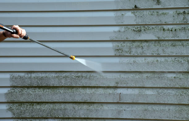 Best Attic Mold Removal  in Mcadenville, NC