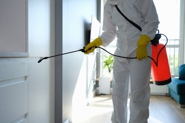 Best Local Mold Removal Service  in Mcadenville, NC